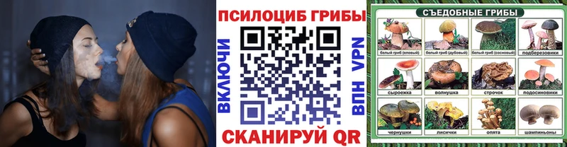 купить   Кингисепп  Псилоцибиновые грибы прущие грибы 