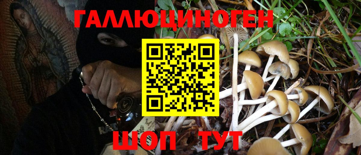 Галлюциногенные грибы Psilocybine cubensis  Псилоцибиновые грибы Psilocybe  Кингисепп  Вход с VPN 